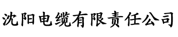 精品人妻AV区波多野结衣电缆厂logo